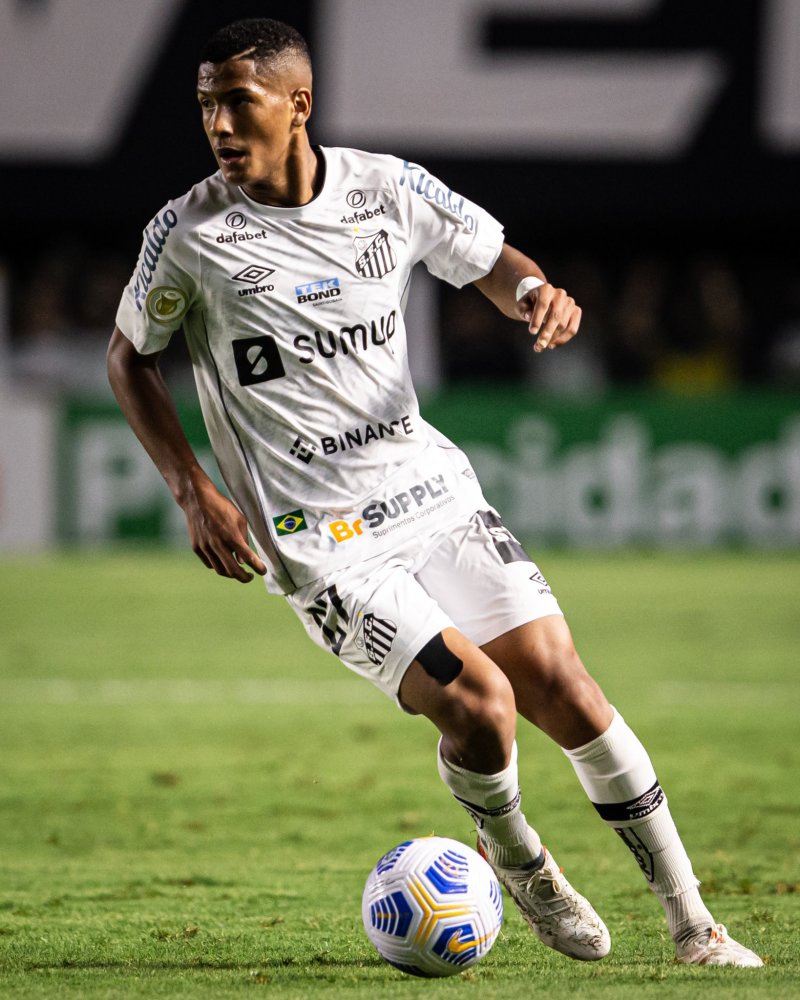 卫和稳定的 卫和稳定的